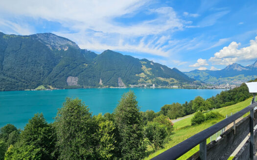 Seelisberg – Mietwohnung