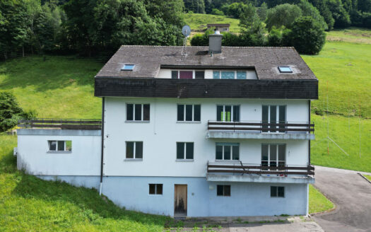 Seelisberg – Mietwohnung