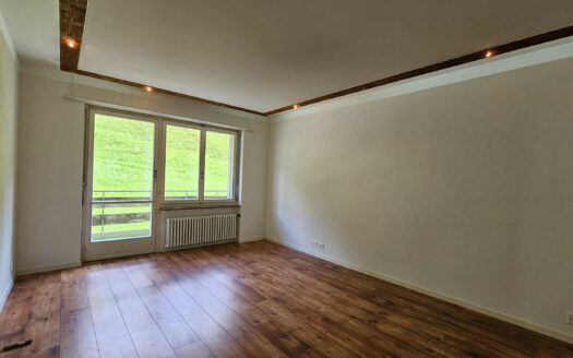 Seelisberg – Mietwohnung