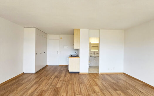 Emmetten – Ferienwohnung