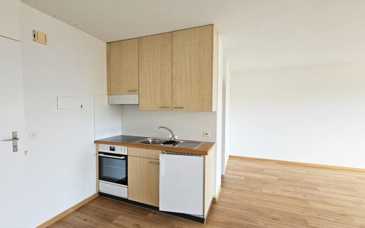 Emmetten – Ferienwohnung