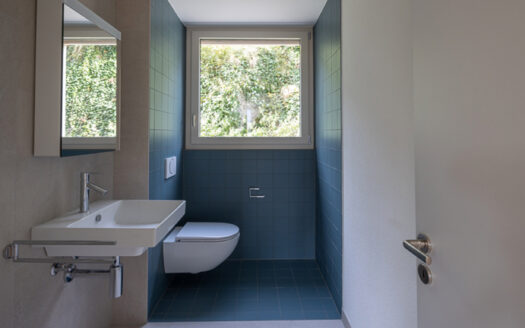 Seelisberg – Mietwohnung